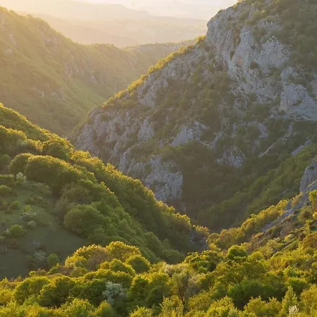 Slow Living 36 Bed & Breakfast 3*