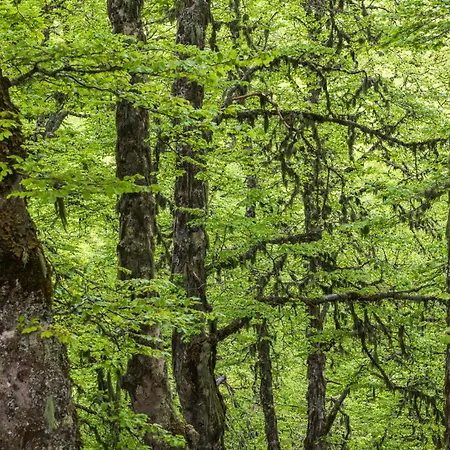 Bed & Breakfast Slow Living 36 Pescasseroli