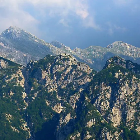 Slow Living 36 Bed & Breakfast