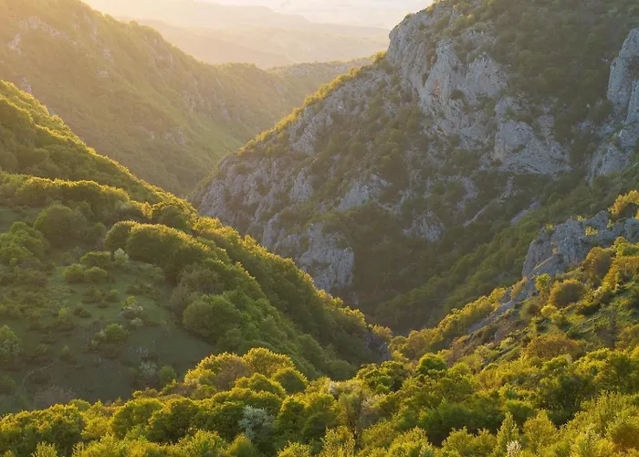 Slow Living 36 Отель типа 