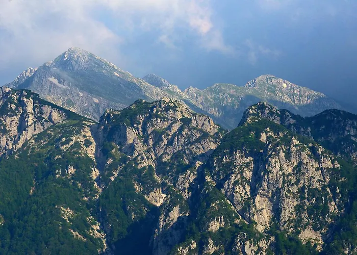 Slow Living 36 Отель типа 