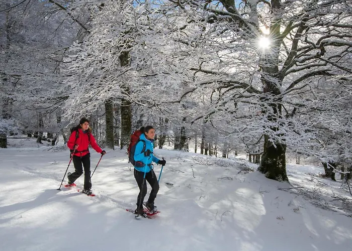 Slow Living 36 Пескассероли