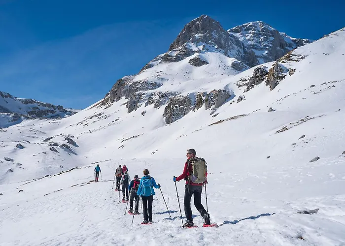 Slow Living 36 Отель типа 